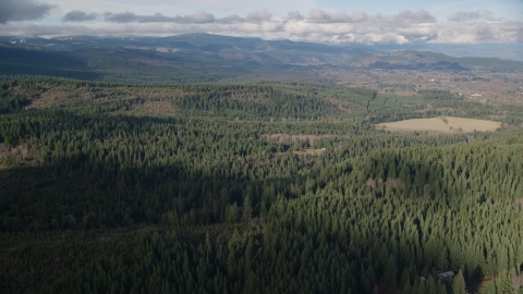 AX154_135.0000000F - Aerial stock photo of Evergreens near logging and farm areas near Parkdale, Oregon