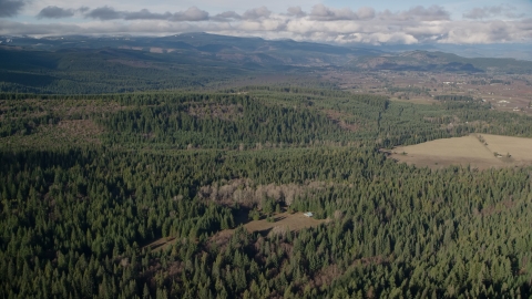 AX154_135.0000220F - Aerial stock photo of Evergreen forest, logging and farm areas near Parkdale, Oregon