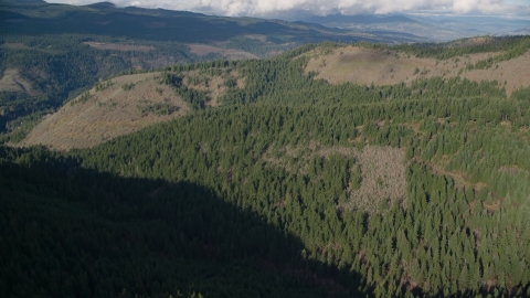 AX154_145.0000127F - Aerial stock photo of An evergreen forest and clear cut logging areas near Dee, Oregon
