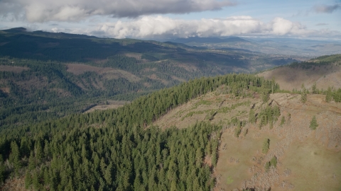 AX154_146.0000383F - Aerial stock photo of Evergreen forest and logging areas, Dee, Oregon