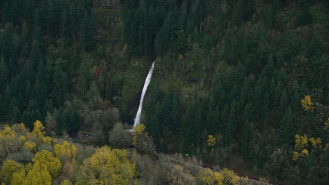 AX154_186.0000106F - Aerial stock photo of A waterfall and forest on the Oregon side of Columbia River Gorge