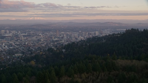 AX155_140.0000337F - Aerial stock photo of Mount Hood and Downtown Portland at sunset, seen from evergreen forest and hills in Northwest Portland, Oregon