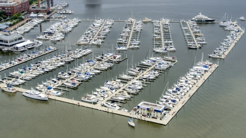 AXP078_000_0009F - Aerial stock photo of Boats docked at the Baltimore Marine Center, Maryland