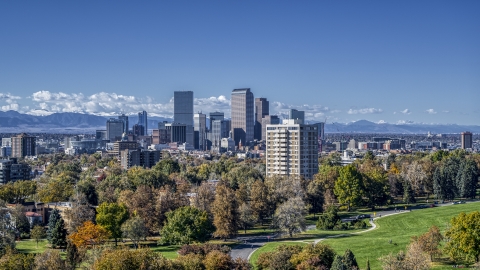 DXP001_000157 - Aerial stock photo of The city's skyline viewed from a park with tall trees, Downtown Denver, Colorado