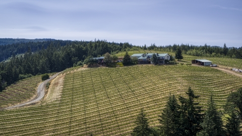 DXP001_009_0008 - Aerial stock photo of Phelps Creek Vineyards grapevines and a hilltop home in Hood River, Oregon