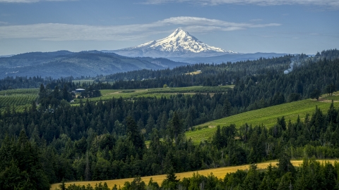 DXP001_015_0013 - Aerial stock photo of Mt Hood seen from orchards and evergreen trees in Hood River, Oregon