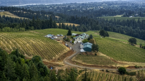 DXP001_015_0018 - Aerial stock photo of Buildings and grapevines at Phelps Creek Vineyards in Hood River, Oregon