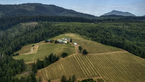 DXP001_015_0021 - Aerial stock photo of Phelps Creek Vineyards buildings surrounded by grapevines in Hood River, Oregon