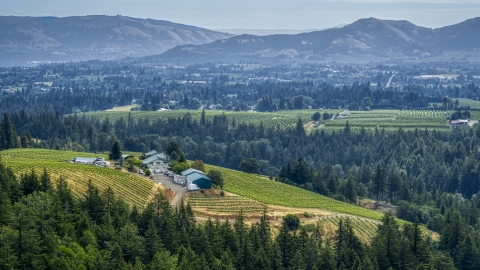 DXP001_016_0009 - Aerial stock photo of Phelps Creek Vineyards on a hilltop with a view of orchards and mountain ridges in Hood River, Oregon