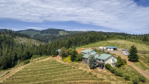 DXP001_017_0003 - Aerial stock photo of Hilltop buildings and grapevines at Phelps Creek Vineyards in Hood River, Oregon