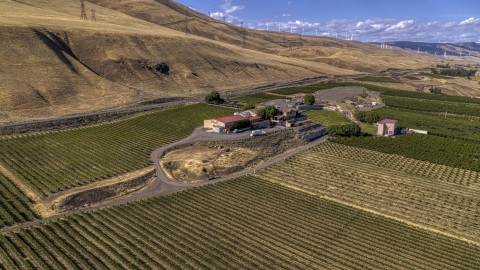 DXP001_018_0004 - Aerial stock photo of A view of the Maryhill Winery and vineyards in Goldendale, Washington