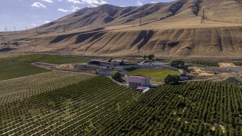 DXP001_018_0008 - Aerial stock photo of The Maryhill Winery and vineyards near brown hills in Goldendale, Washington