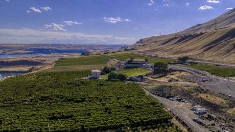 DXP001_018_0009 - Aerial stock photo of The Maryhill Winery and vineyards by the Columbia River in Goldendale, Washington