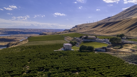 DXP001_018_0018 - Aerial stock photo of Maryhill Winery seen from grapevines by the amphitheater in Goldendale, Washington