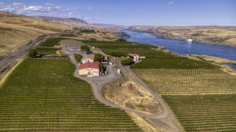 DXP001_018_0020 - Aerial stock photo of Maryhill Winery and vineyard by the Columbia River in Goldendale, Washington