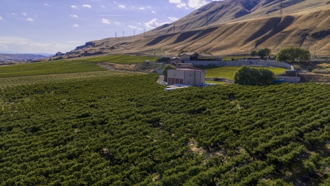 DXP001_018_0025 - Aerial stock photo of Maryhill Winery and amphitheater beside rows of grapevines in Goldendale, Washington
