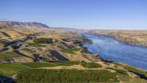 DXP001_019_0021 - Aerial stock photo of Vineyards overlooking the Columbia River in Goldendale, Washington
