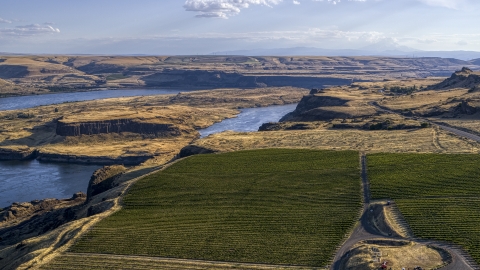 DXP001_019_0022 - Aerial stock photo of Miller Island and the Columbia River seen from Maryhill Winery in Goldendale, Washington