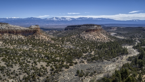 DXP002_133_0004 - Aerial stock photo of Desert mesa and distant mountains in New Mexico