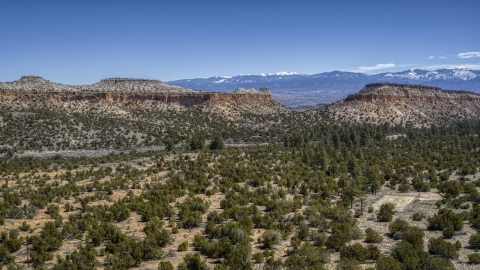 DXP002_133_0006 - Aerial stock photo of Two desert mesas seen across green vegetation in New Mexico