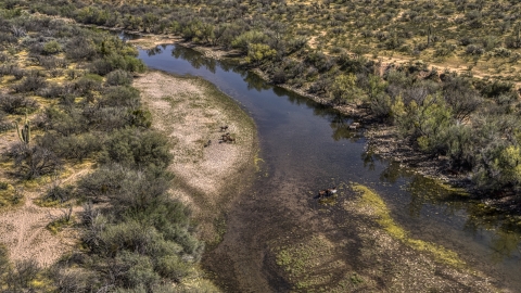 DXP002_141_0006 - Aerial stock photo of Horses at a shallow river in the desert