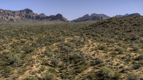 DXP002_141_0014 - Aerial stock photo of Desert plants and tall cactus with rugged mountains in the distance