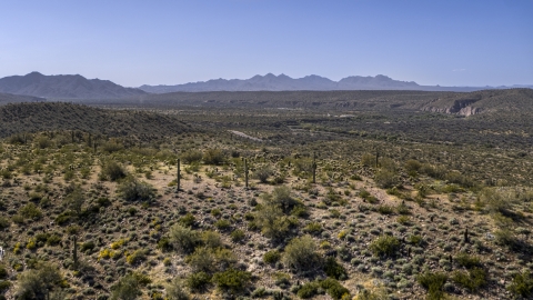 DXP002_141_0020 - Aerial stock photo of A hill with green plants and cactus, and desert mountains in the background