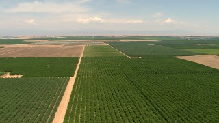 AF0001_000002 - HD stock footage aerial video flyby farmland and crop fields in the Central Valley, California