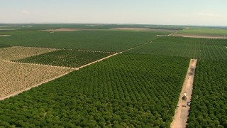 AF0001_000004 - HD aerial stock footage pan across farmland and fly over crops Central Valley, California