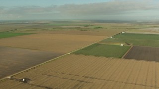AF0001_000212 - HD aerial stock footage of flying by wide crop fields in Matagorda County, Texas