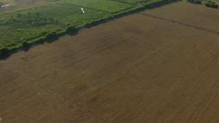AF0001_000214 - HD aerial stock footage of farm house and fields in Matagorda County, Texas