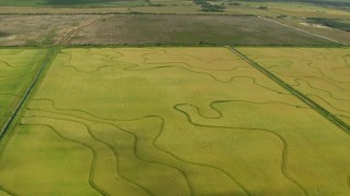 AF0001_000220 - HD aerial stock footage approach and tilt to crop fields in Wharton County, Texas