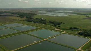 AF0001_000227 - HD aerial stock footage of flying over fish farms and the green fields between them in Danevang, Texas
