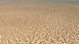 AF0001_000896 - HD stock footage aerial video fly over desert plants in a flat plain in New Mexico