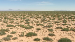 AF0001_000900 - HD stock footage aerial video fly low over desert plants in an arid plain in New Mexico
