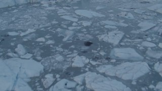 AK0001_0285 - 4K aerial stock footage flying low over ice chunks in small lake near glacier, Knik Glacier, Alaska