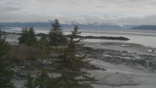 AK0001_0364 - 4K aerial stock footage flying low over rocks, trees and beach, Turnagain Arm of the Cook Inlet, Alaska