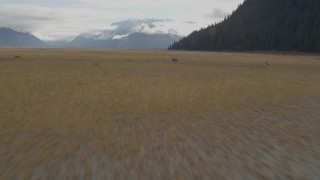 AK0001_0376 - 4K aerial stock footage flying low over grassland, tilt up, revealing snow capped mountains, Portage, Alaska