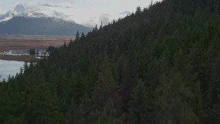 AK0001_0380 - 4K aerial stock footage flying low over forested slope, Kenai Mountains, Alaska