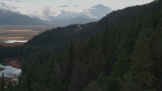 AK0001_0381 - 4K aerial stock footage fly low over forested slope, approaching grassland, Kenai Mountains, Alaska