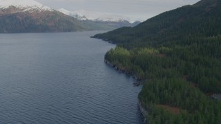 AK0001_0399 - 4K aerial stock footage flying over wooded shoreline, Prince William Sound, Passage Canal, Alaska