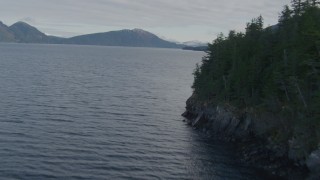AK0001_0403 - 4K aerial stock footage flying along forested shoreline, Prince William Sound, Passage Canal, Alaska
