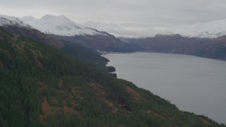 AK0001_0495 - 4K aerial stock footage flying along wooded shoreline, approaching Whittier, Alaska