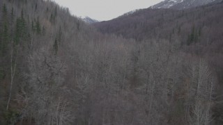 AK0001_0636 - 4K aerial stock footage flying over trees, wooded hills, Birchwood, Alaska