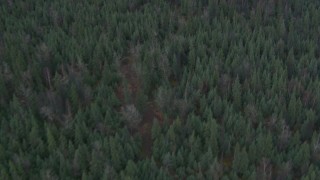 AK0001_0692 - 4K stock footage aerial video bird's eye view flying over a forest during winter, Butte, Alaska