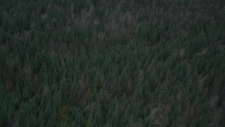 AK0001_0694 - 4K stock footage aerial video a bird's eye view of forest during winter, Butte, Alaska