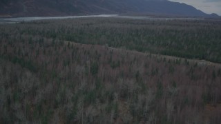 AK0001_0695 - 4K aerial stock footage flying over forest, approach and reveal river, during winter, Butte, Alaska