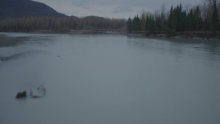 AK0001_0703 - 4K aerial stock footage flying low over river, approaching trees, shore, winter, Knik River, Alaska