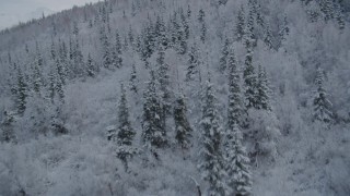 AK0001_0745 - 4K aerial stock footage fly low over frosty slope of Chugach Mountains, winter, Eagle River, Alaska