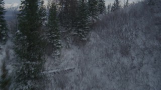 AK0001_0783 - 4K aerial stock footage fly low over treetops, reveal Knik River Valley, snowy Chugach Mountains, Alaska